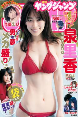 以爱为营白鹿主演电视剧免费观看
